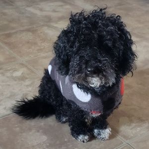 Meet your Posher, Daniel